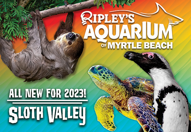 Ripley's Aquarium