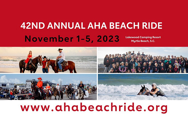 Collage of people riding horese on the beach