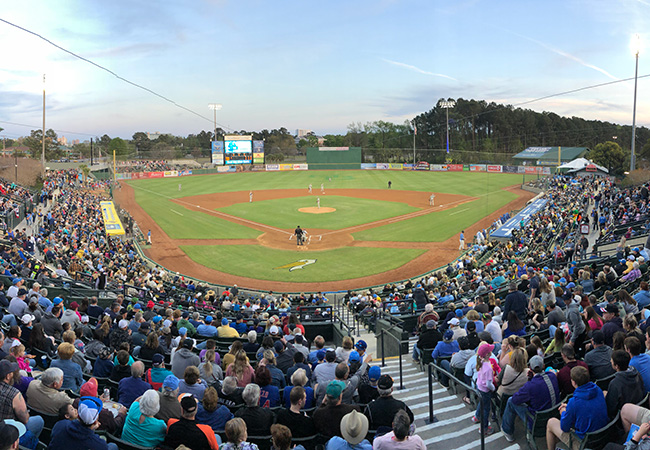 Crowd at Myrtle Beach Pelicans ballpark