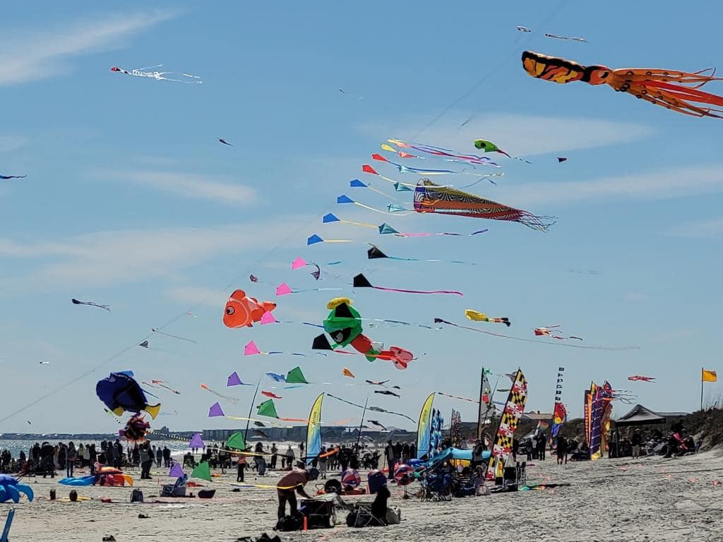 Huntington Beach State Park Kite Festival