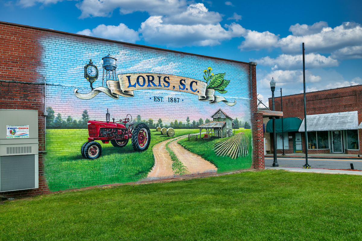 Loris Mural Loris Mural