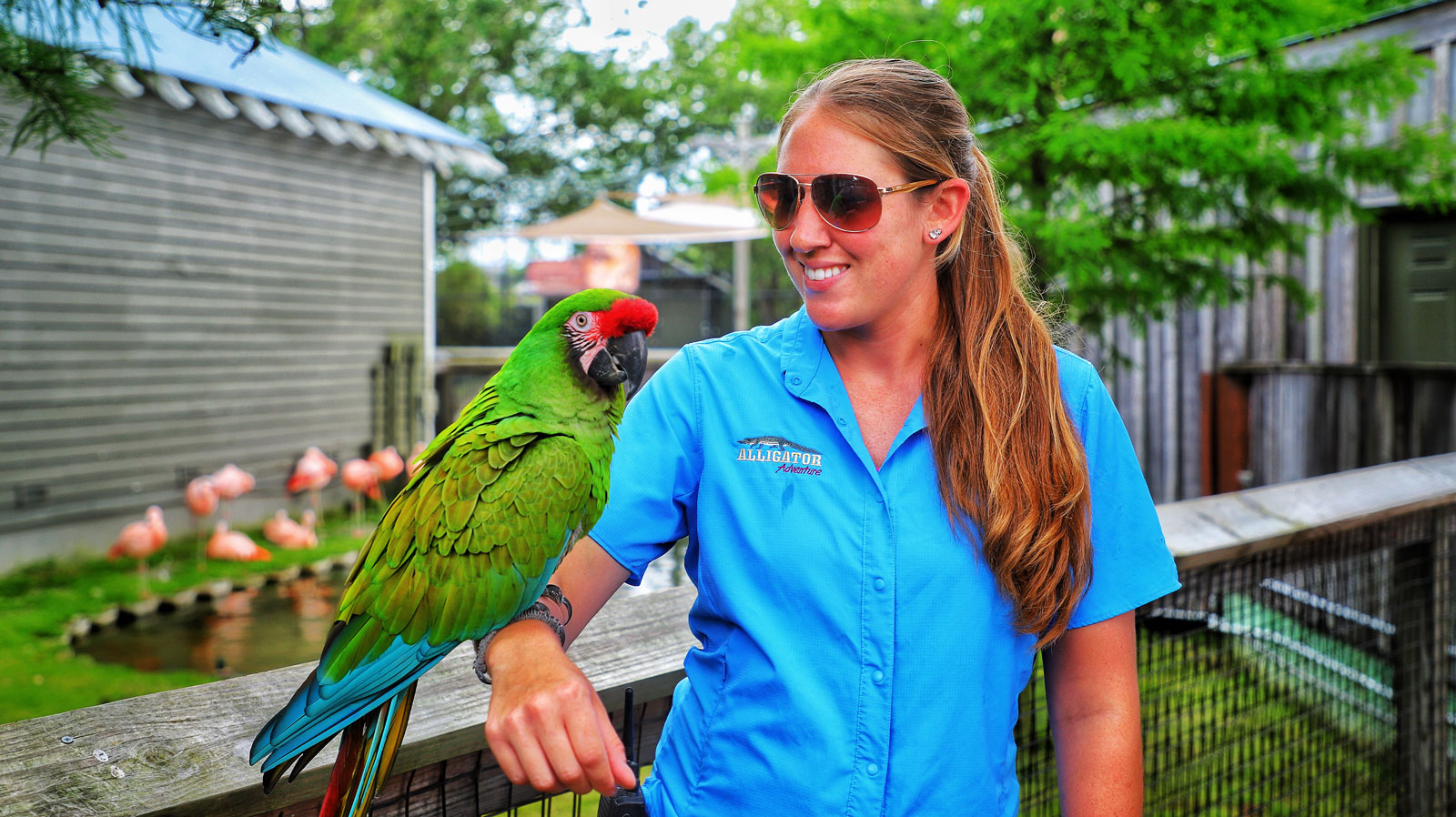 Alligator Adventure North Myrtle Beach