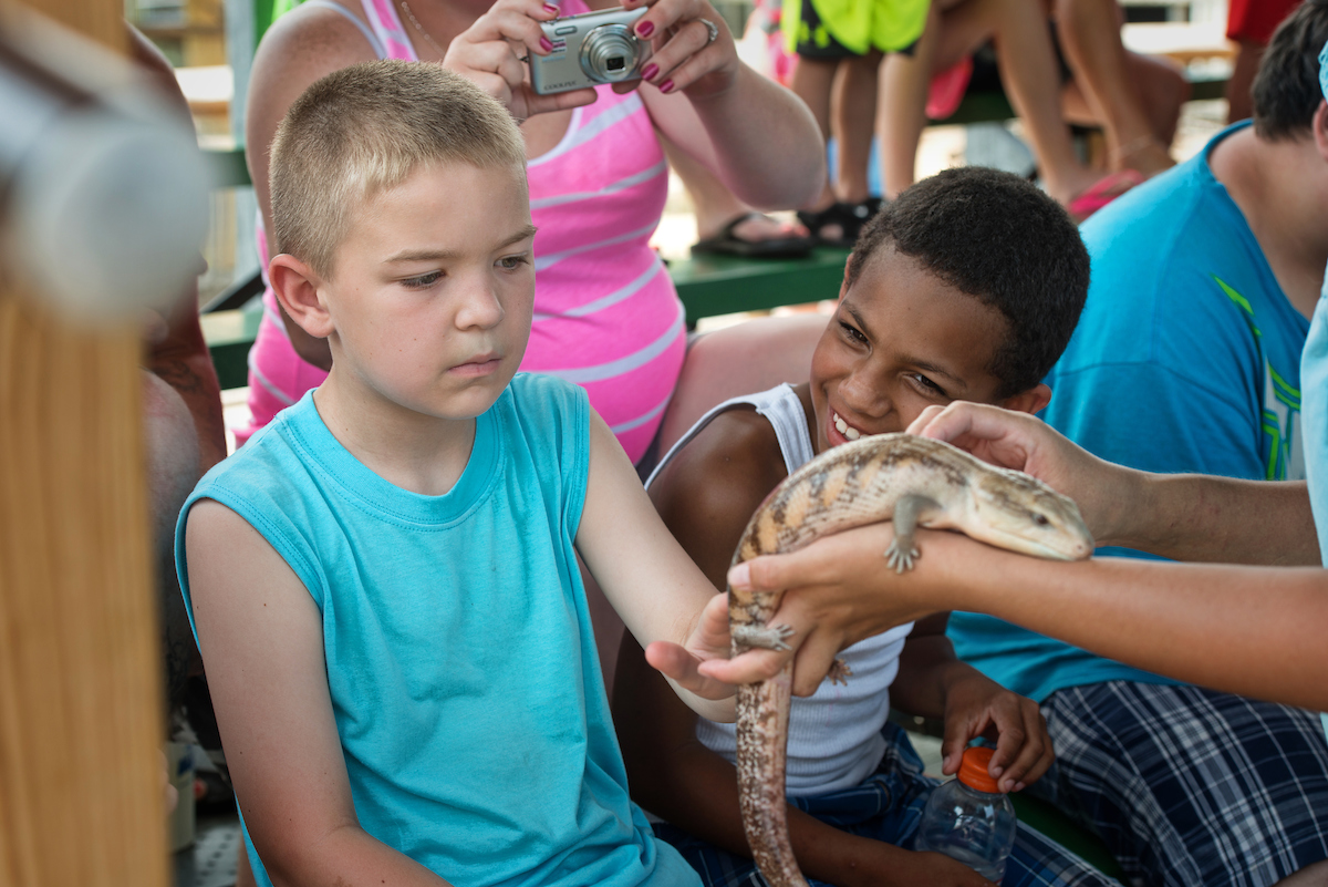 Alligator Adventure