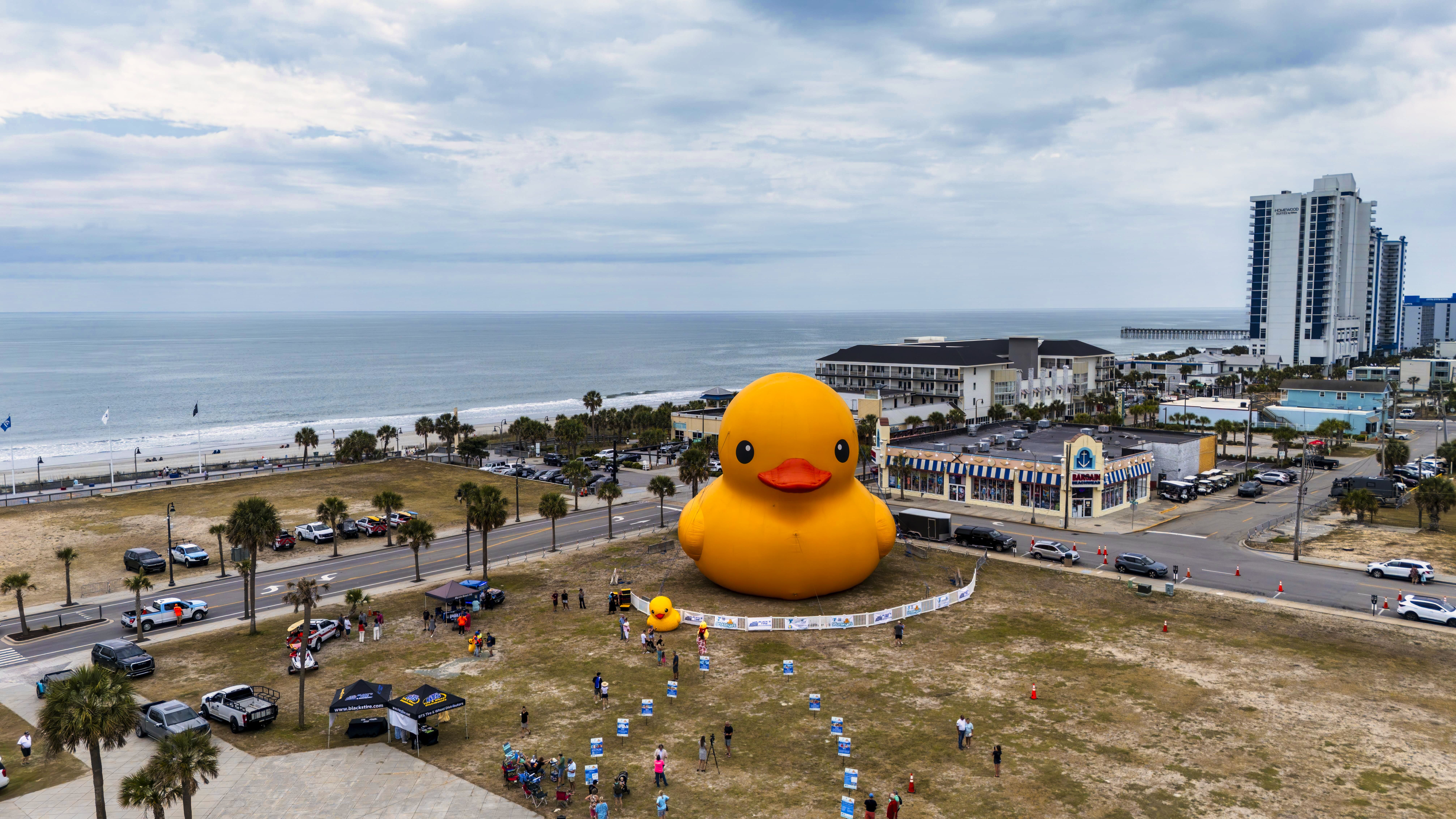"Mama Duck" on display in Myrtle Beach.