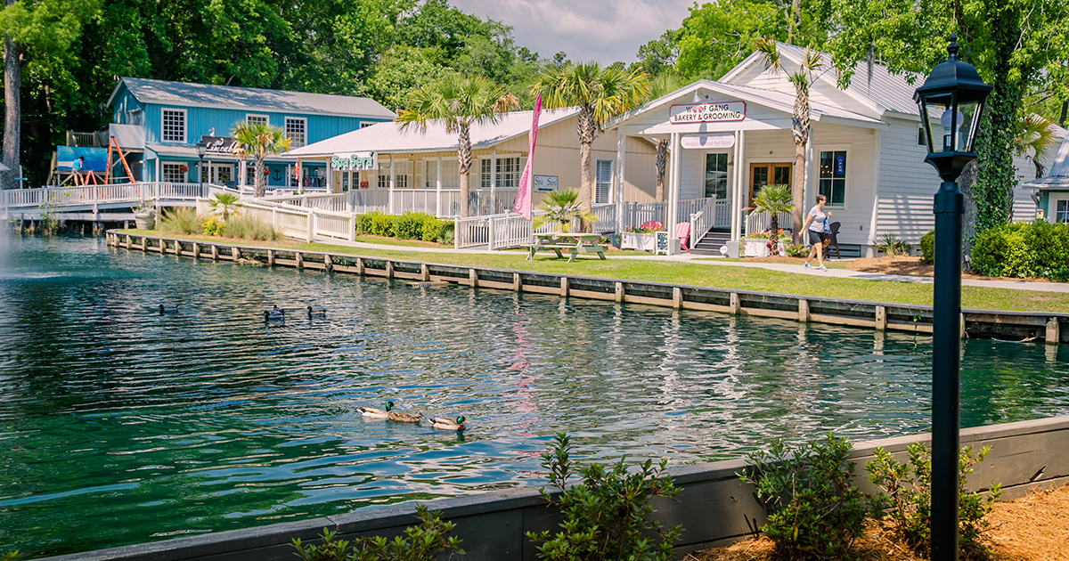 Pawleys Island Visit Myrtle Beach