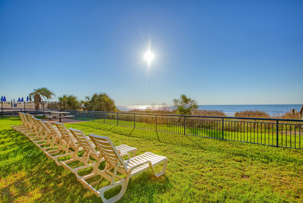 Oceanfront Grassy Lawn