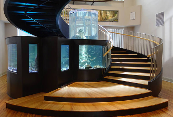 Horry County Museum