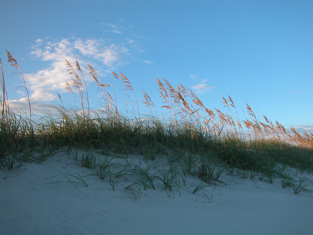 Sand Dunes