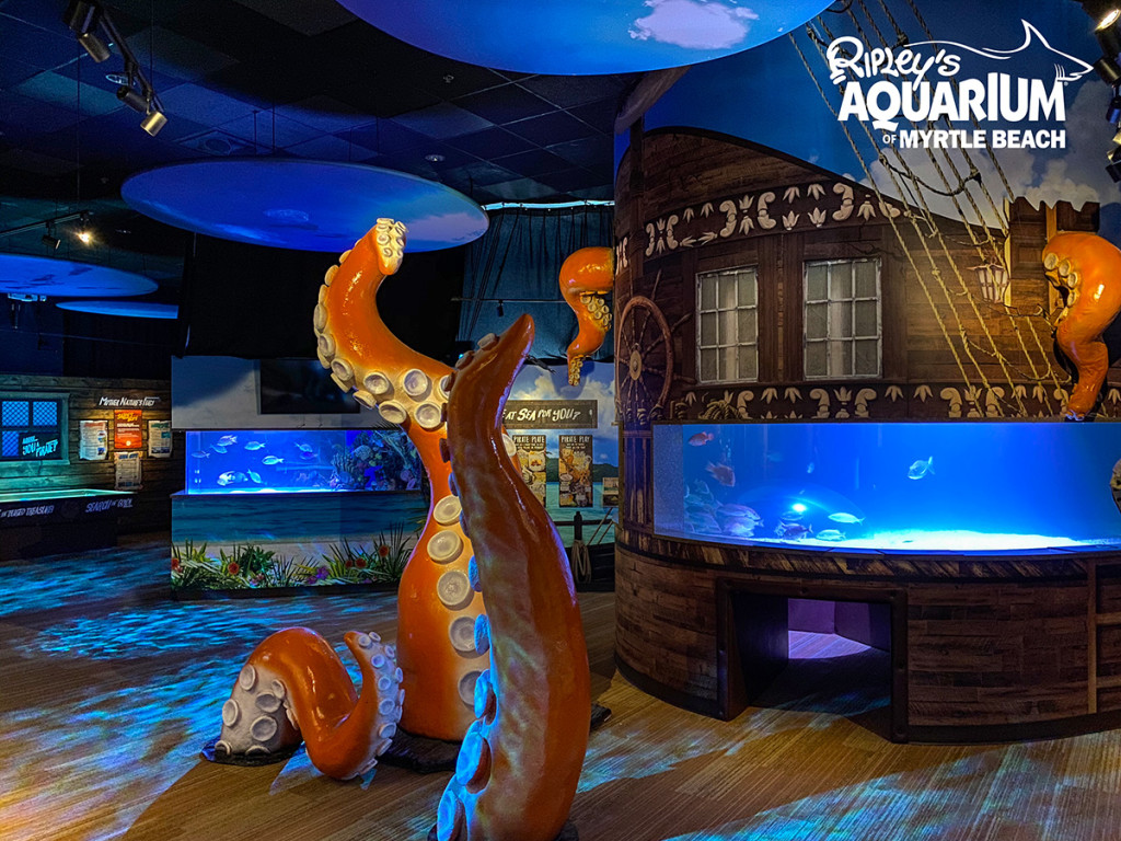 Ripley's Aquarium Myrtle Beach Savage Seas exhibit