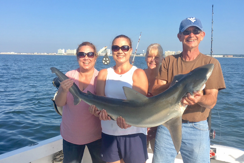 Shark Fishing Shark Fishing