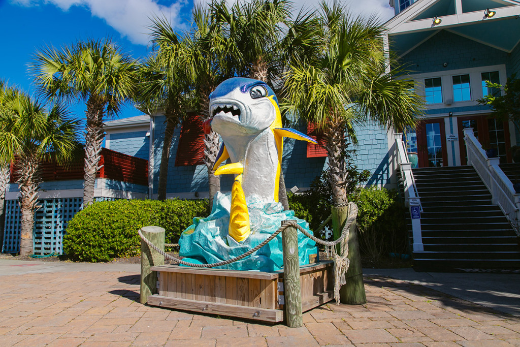 Wicked Tuna Visit Myrtle Beach