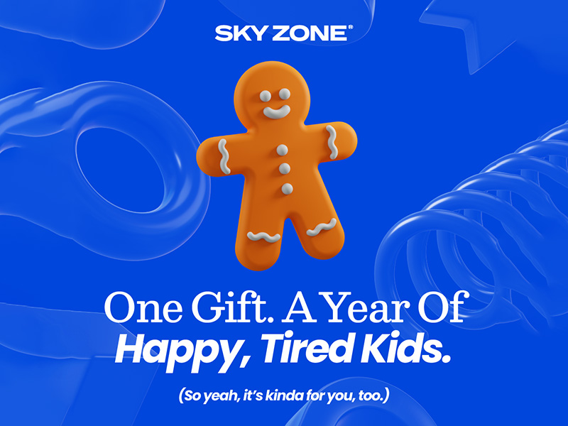 2025 Annual Pass at Sky Zone Myrtle Beach Visit Myrtle Beach