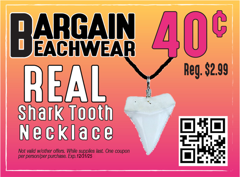 Bargain Beachwear - REAL Shark Tooth Necklace Photo