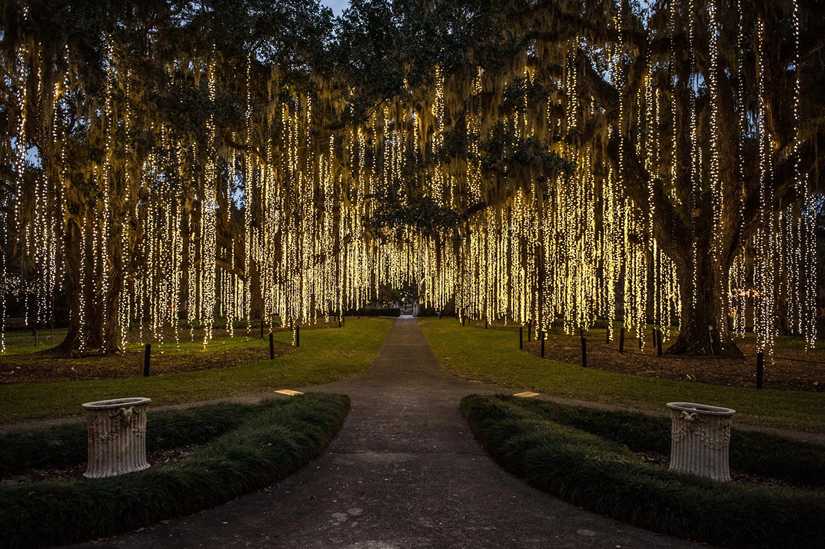 Nights of a Thousand Candles Photo