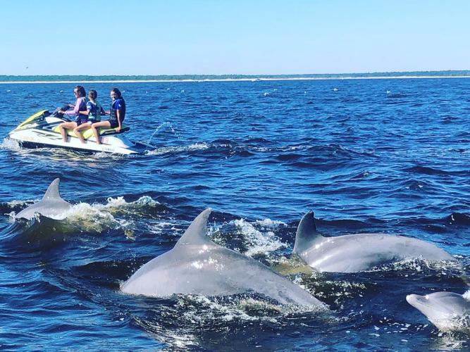 Action Water Sportz - $20 Off Pontoon, 2-Hour Jet Ski Dolphin Excursion & 1-Hour Rental Photo