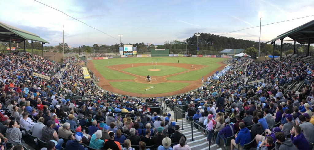 Myrtle Beach Pelicans