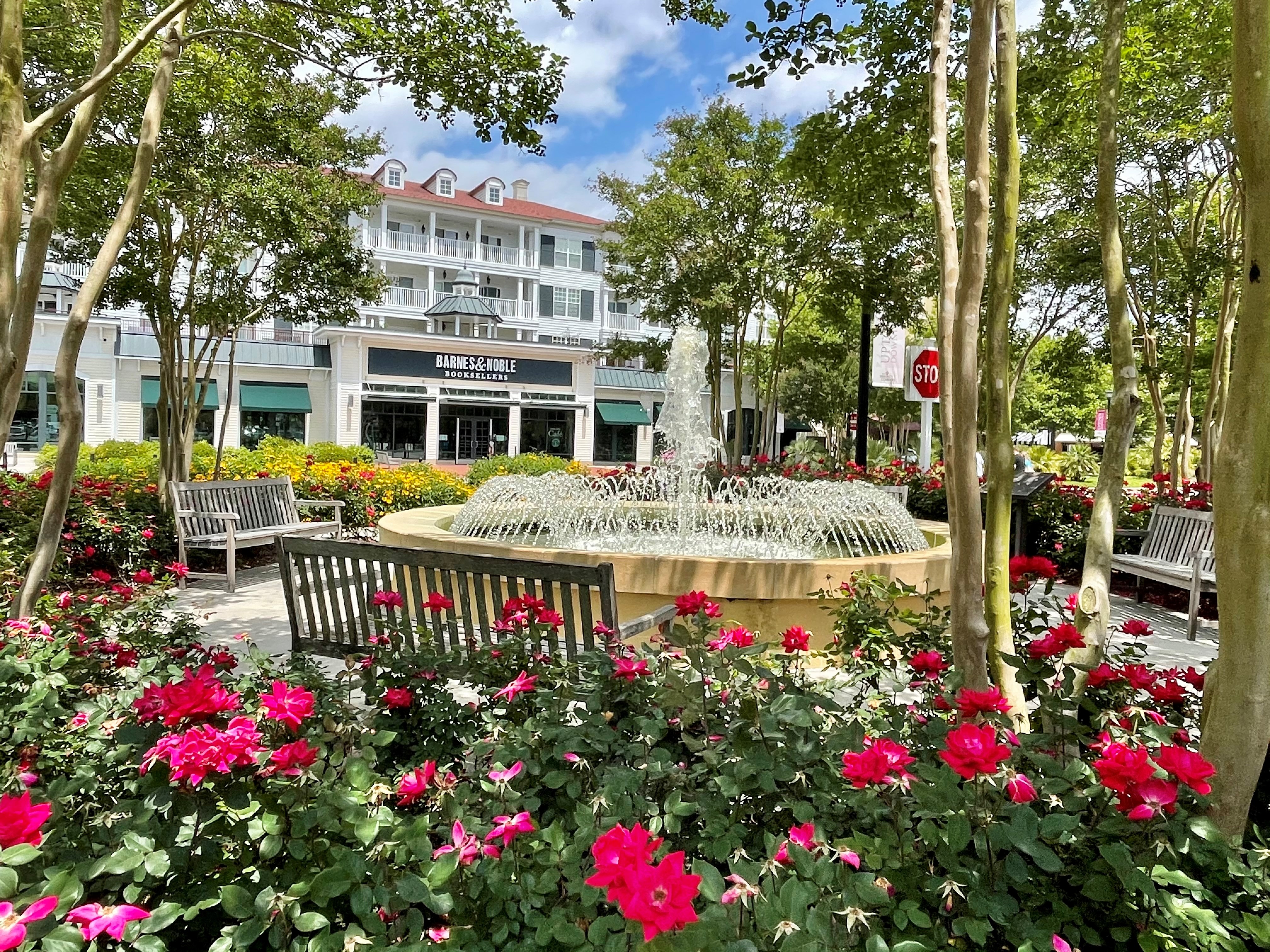 The Market Common