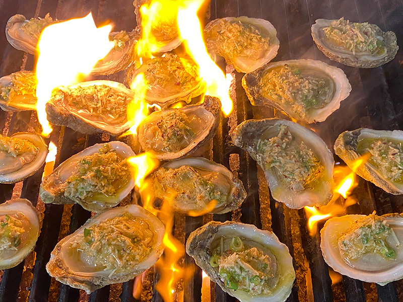 Noizy Oysters Bar & Grill