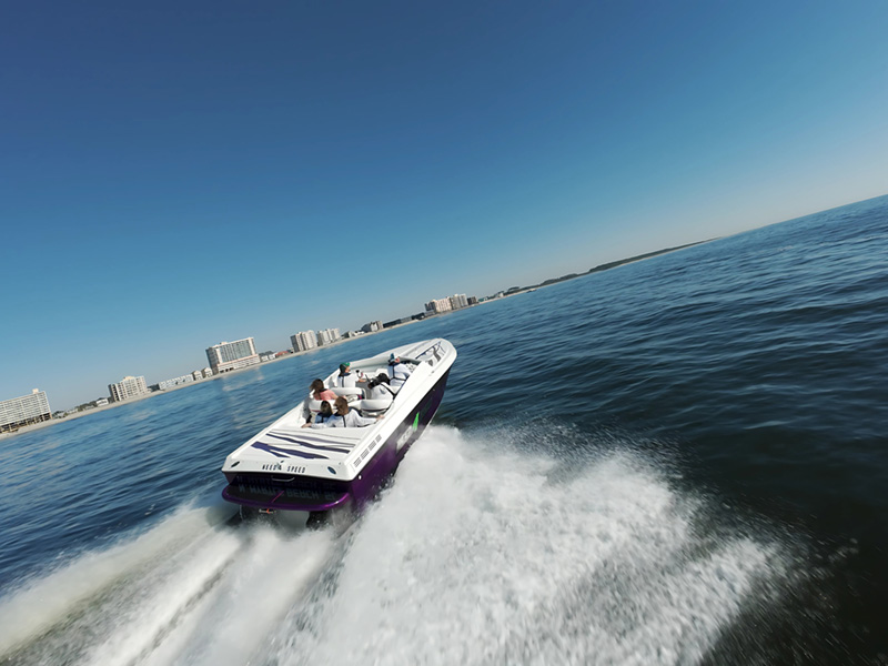 Southern Shores Island & Dolphin Cruises