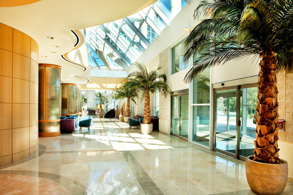 Inviting Lobby