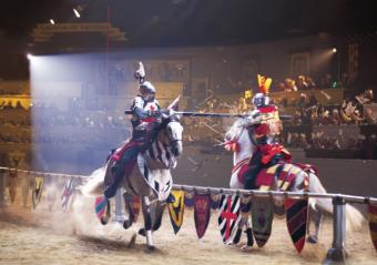 Save Up to $20 per person at Medieval Times Dinner & Tournament Photo