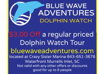 Blue Wave Adventures - $3 Off Regular Priced Dolphin Watch Tour Photo