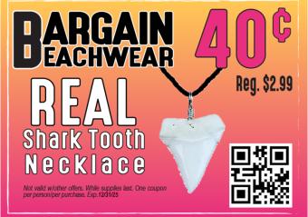 Bargain Beachwear - REAL Shark Tooth Necklace Photo