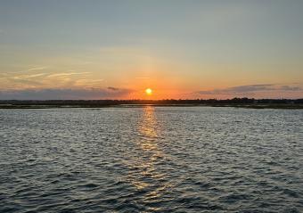 Crazy Sister Boat Tours & Dolphin Cruises Photo 3