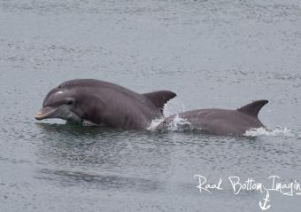 Express Watersports Photo