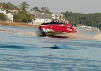 Southern Shores Island & Dolphin Cruises Photo 6