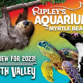 Ripley's Aquarium Myrtle Beach Sloth Valley