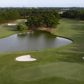 Palmetto Course aerial with small lake and greens