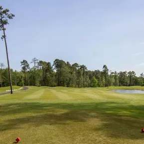 Tupelo Bay Golf green and fairway