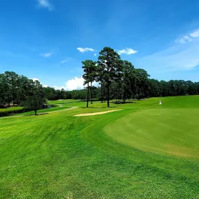 Wedgefield golf course with fairway and green