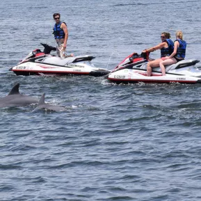 Jet Ski Dolphin Tours