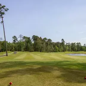 Tupelo Golf green