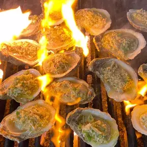 Oysters on the grill