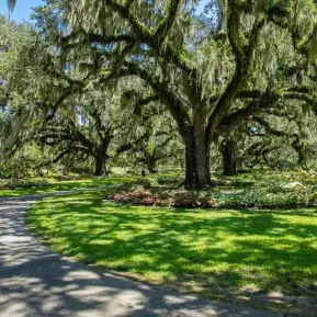 Brookgreen Gardens Photo