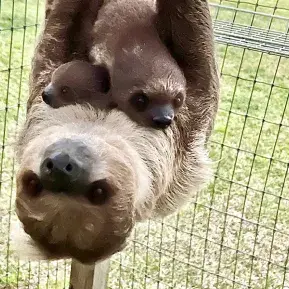 Wild Woods Farm Photo