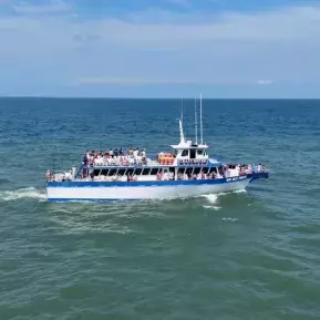 Crazy Sister Dolphin Tours & Cruises Photo