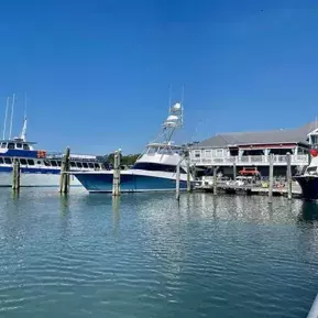 Crazy Sister Dolphin Tours & Cruises Photo