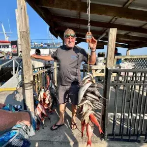 Crazy Sister Marina & Fishing Fleet Photo