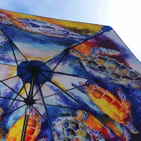 East Coast Umbrella Photo