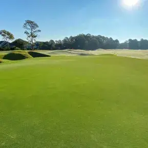 Prestwick Country club 9th Green Photo 5