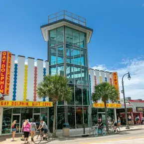 Gay Dolphin Gift Cove Photo