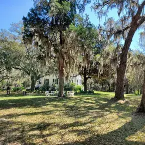 Hopsewee Plantation Photo 2