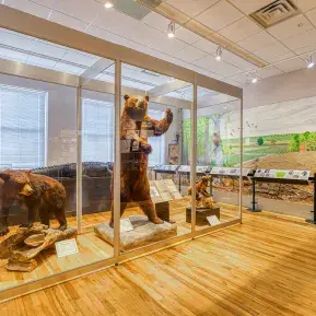 Horry County Museum Photo 5