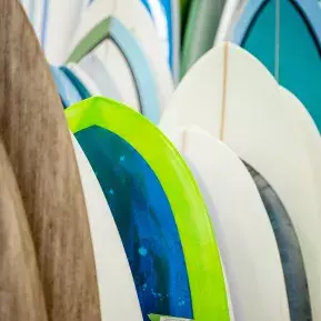 Surf City Surf Shop Photo