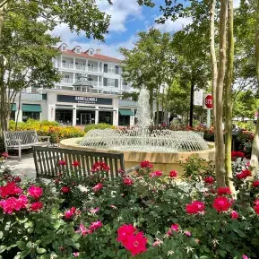 The Market Common Photo