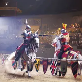 Medieval Times Dinner & Tournament Photo